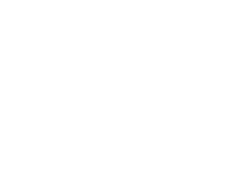 Logo Irina G Photography